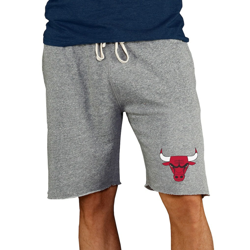 Gray Chicago Bulls Concepts Sport Mainstream Terry Shorts | NBA
