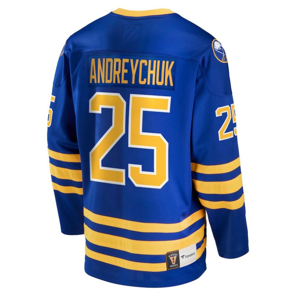 Dave Andreychuk Buffalo Sabres Fanatics Breakaway Retired Player Jersey -  NHL Jerseys