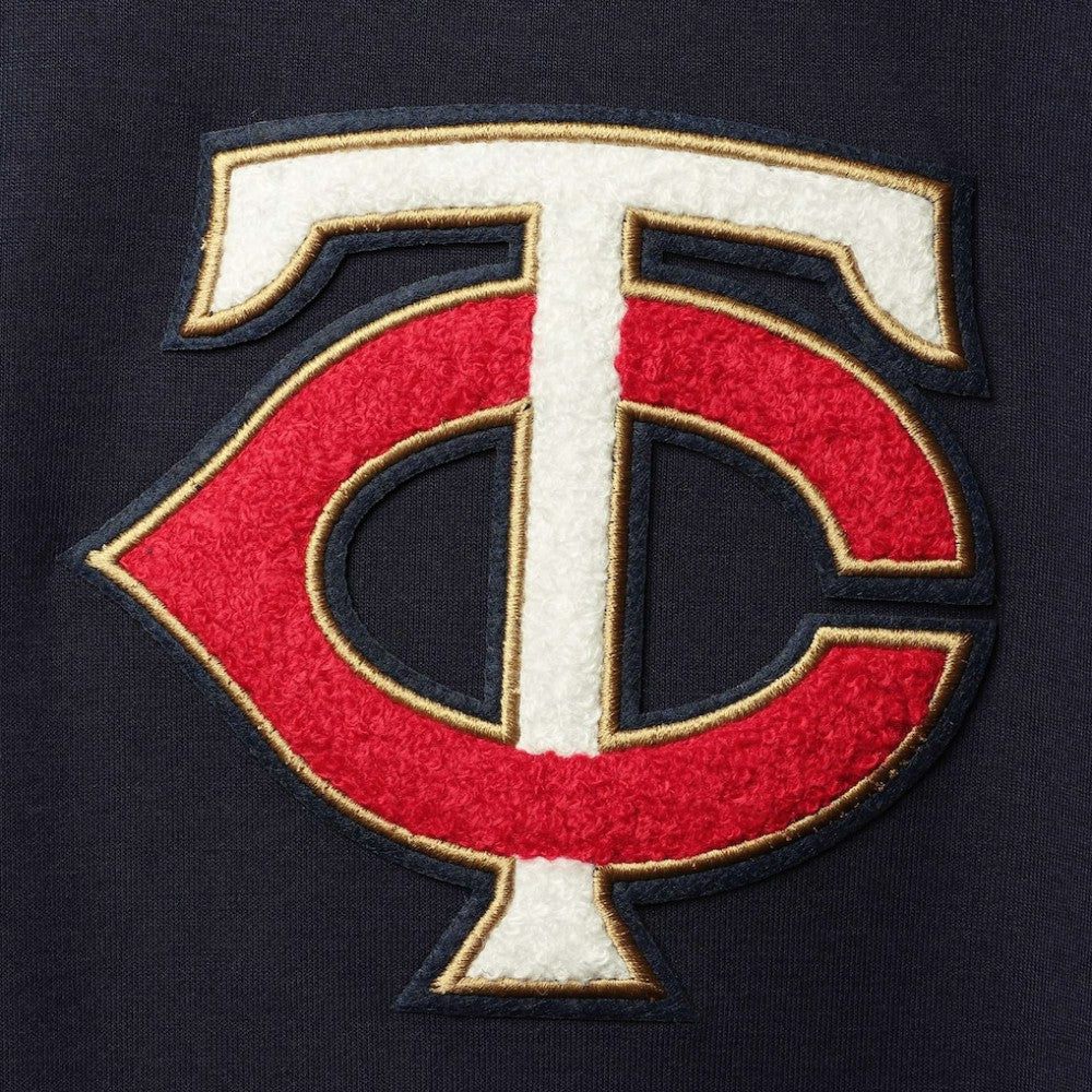 Minnesota Twins Pro Standard Team Logo Pullover Hoodie - MLB Hoodies