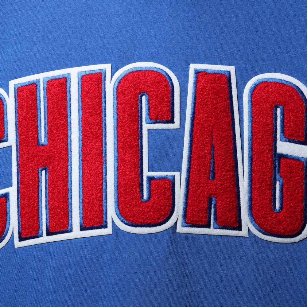 Chicago Cubs Pro Standard Team Logo T-Shirt - MLB T-shirts