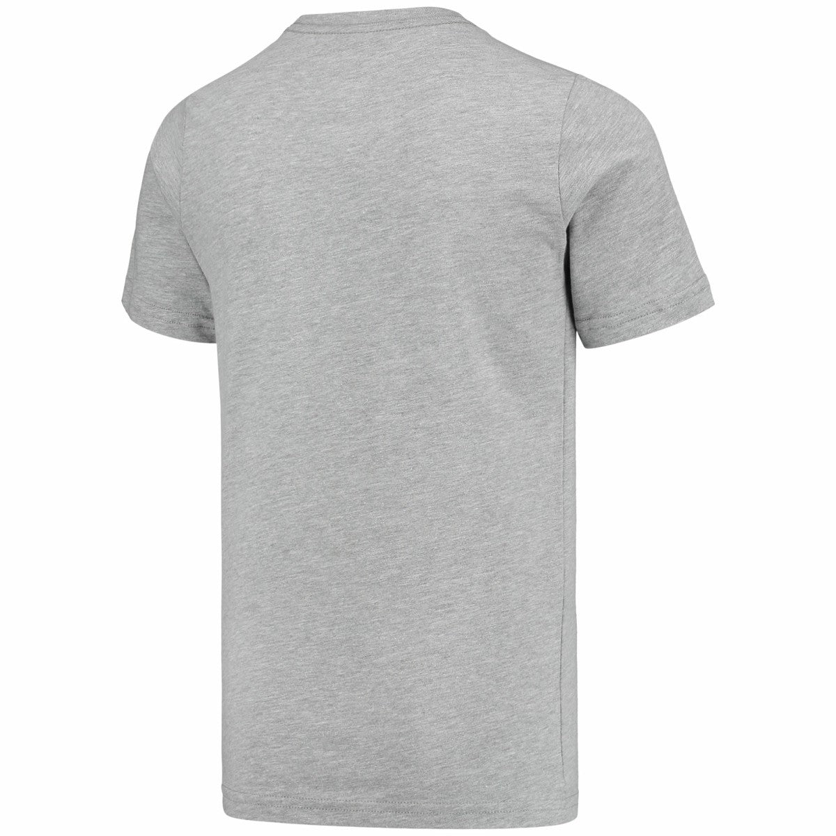 Gray Vince Carter Toronto Raptors Youth Hardwood Classics King of the Court Player T-Shirt | NBA