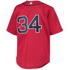 David Ortiz Boston Red Sox Mitchell & Ness Youth Cooperstown Collection Batting Practice Jersey - MLB Jerseys