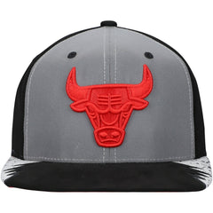 Silver/Gray Chicago Bulls Day 5 Snapback Hat | NBA