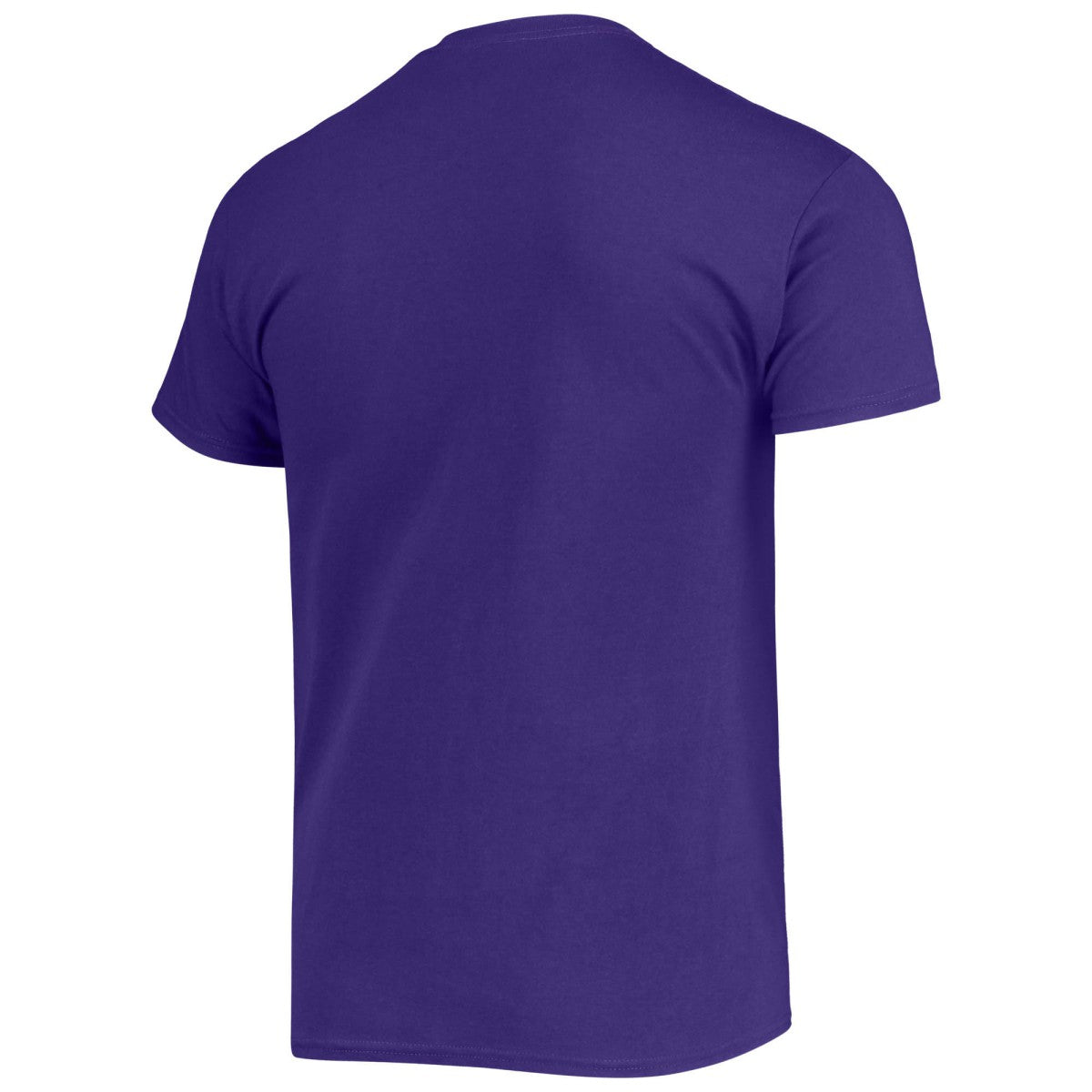 Purple Phoenix Suns Junk Food The Valley Pixel T-Shirt | NBA