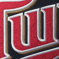 Minnesota Twins Pro Standard Team T-Shirt - MLB T-shirts