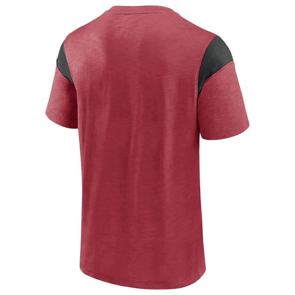 Arizona Cardinals Home Stretch Team T-Shirt | NFL Hot