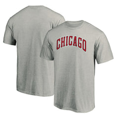 Heathered Gray Chicago Bulls Alternate Logo T-Shirt sale | NBA