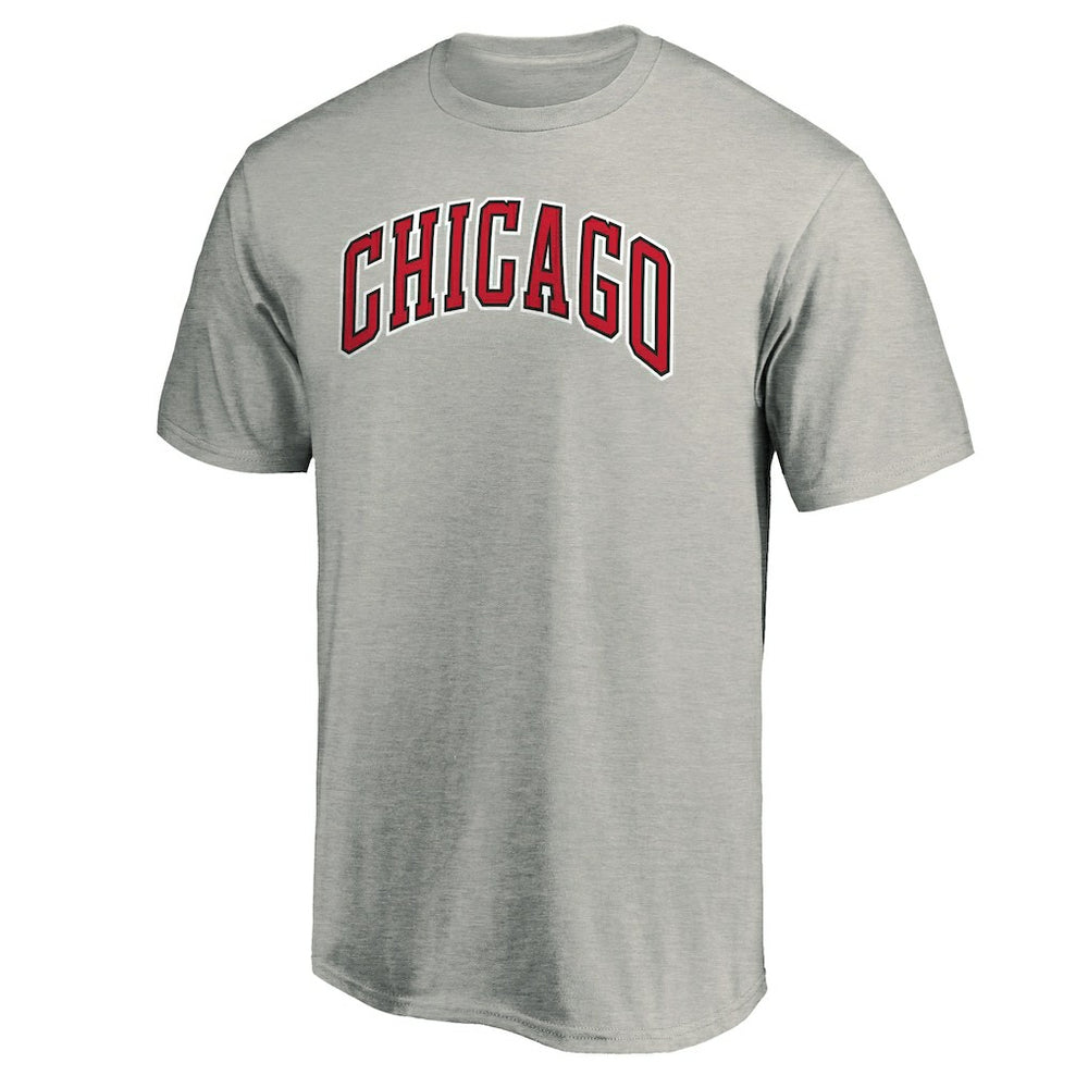 Heathered Gray Chicago Bulls Alternate Logo T-Shirt sale | NBA