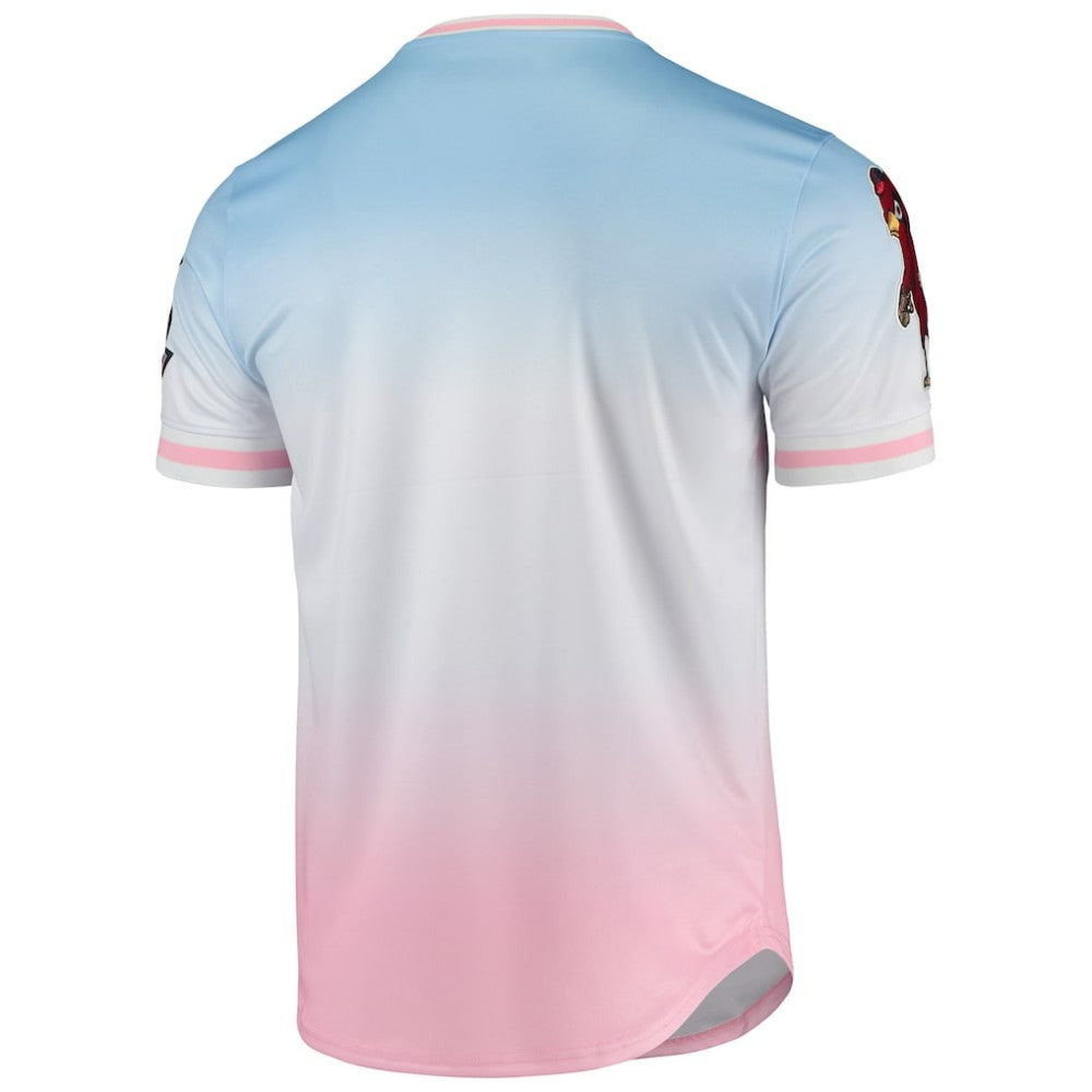 St. Louis Cardinals Pro Standard Ombre T-Shirt - MLB T-shirts