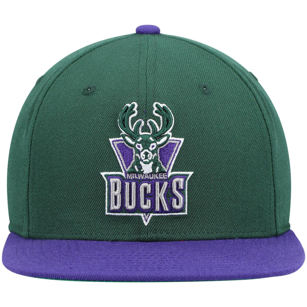 Green/Purple Milwaukee Bucks Hardwood Classics Team Two-Tone 2.0 Snapback Hat | NBA