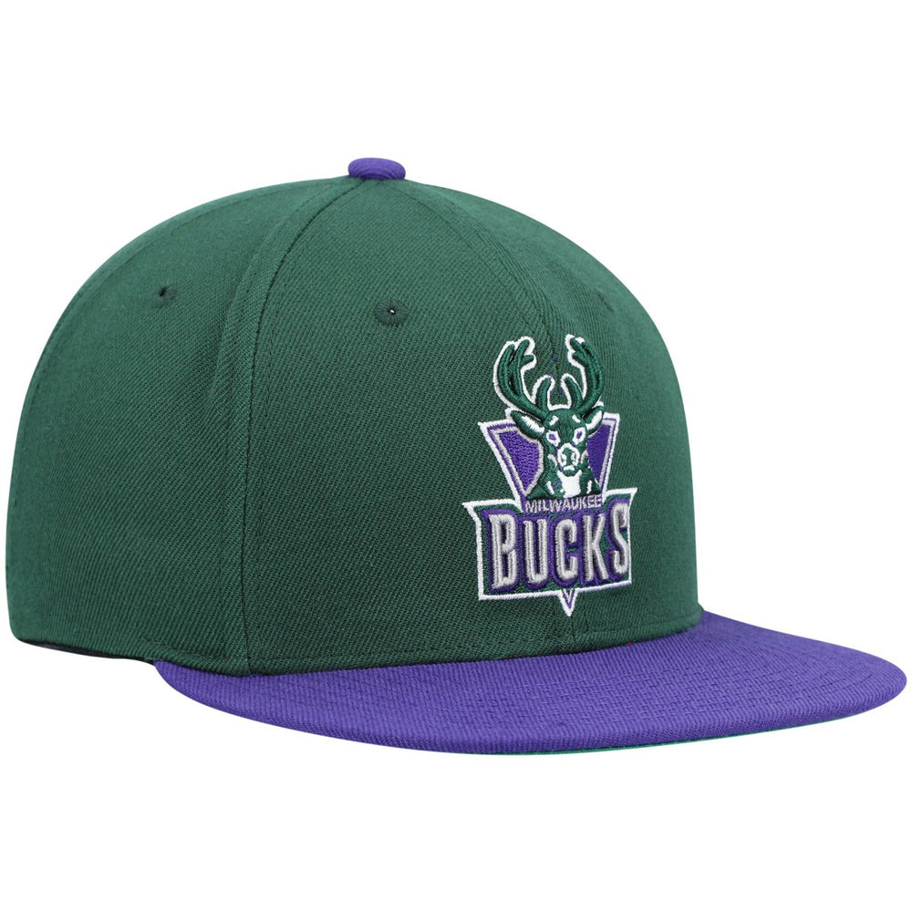 Green/Purple Milwaukee Bucks Hardwood Classics Team Two-Tone 2.0 Snapback Hat | NBA