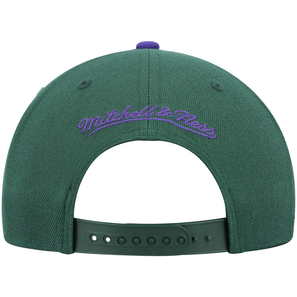 Green/Purple Milwaukee Bucks Hardwood Classics Team Two-Tone 2.0 Snapback Hat | NBA