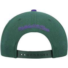Green/Purple Milwaukee Bucks Hardwood Classics Team Two-Tone 2.0 Snapback Hat | NBA
