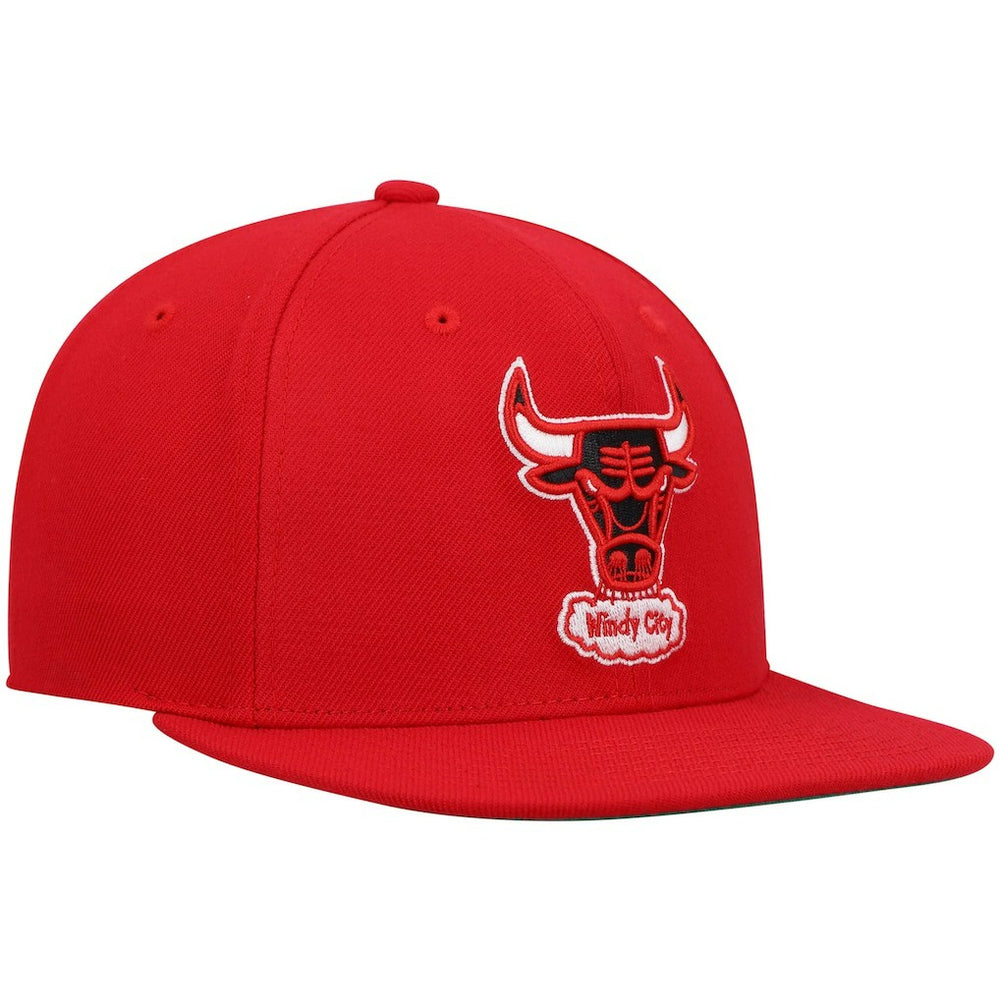 Red Chicago Bulls Hardwood Classics Team Ground 2.0 Snapback Hat | NBA