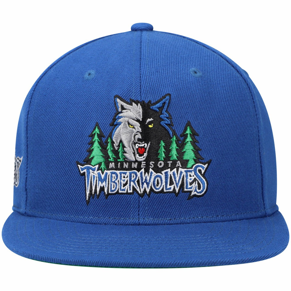 Blue Minnesota Timberwolves Hardwood Classics Snapback Hat | NBA
