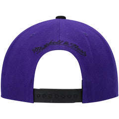Purple/Black Sacramento Kings Hardwood Classics Snapback Hat | NBA