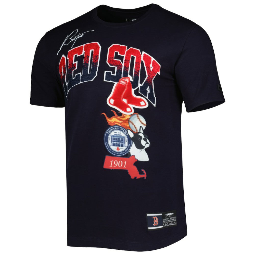 Boston Red Sox Pro Standard Hometown T-Shirt - MLB T-shirts