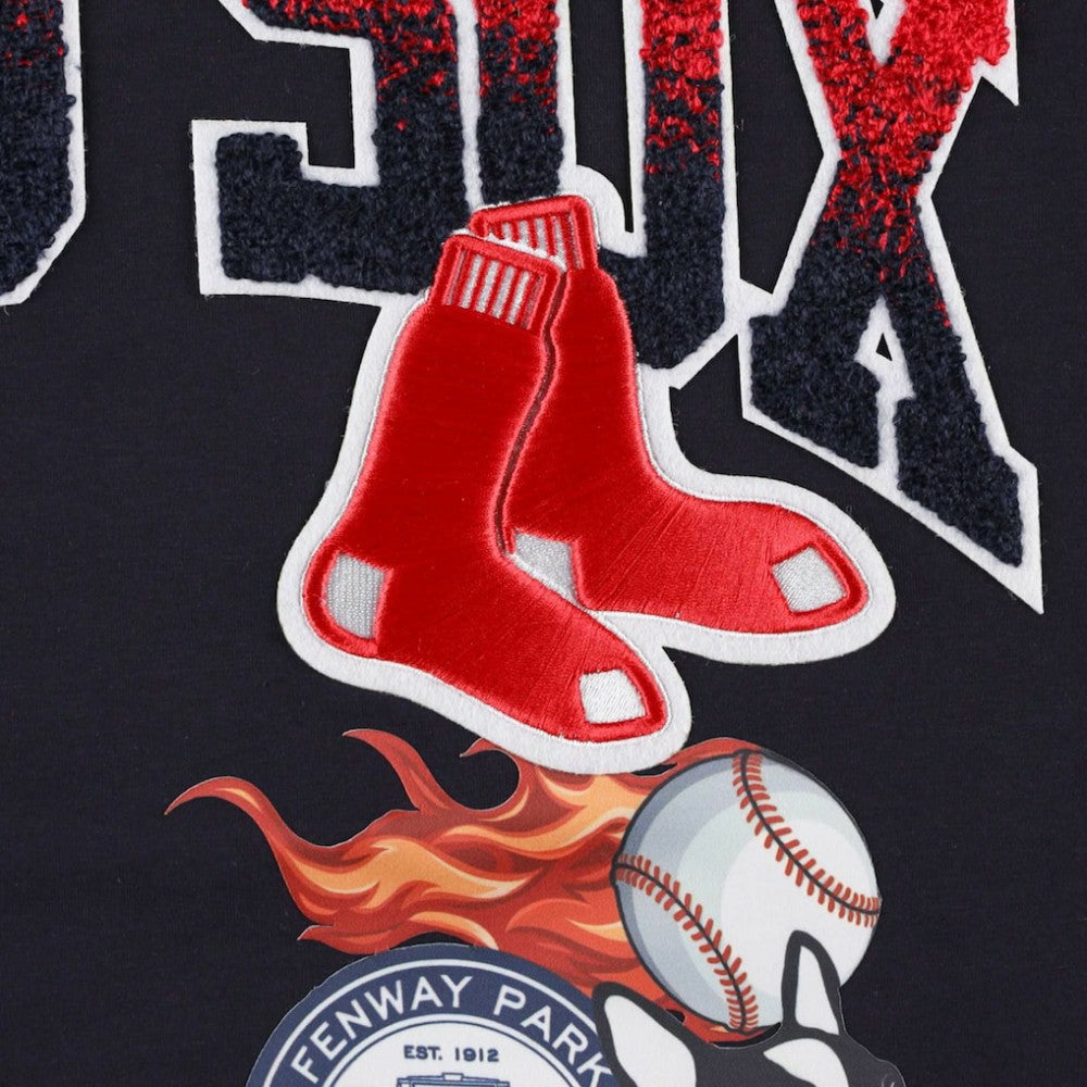 Boston Red Sox Pro Standard Hometown T-Shirt - MLB T-shirts