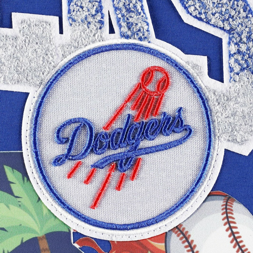 Los Angeles Dodgers Pro Standard Hometown T-Shirt - MLB T-shirts