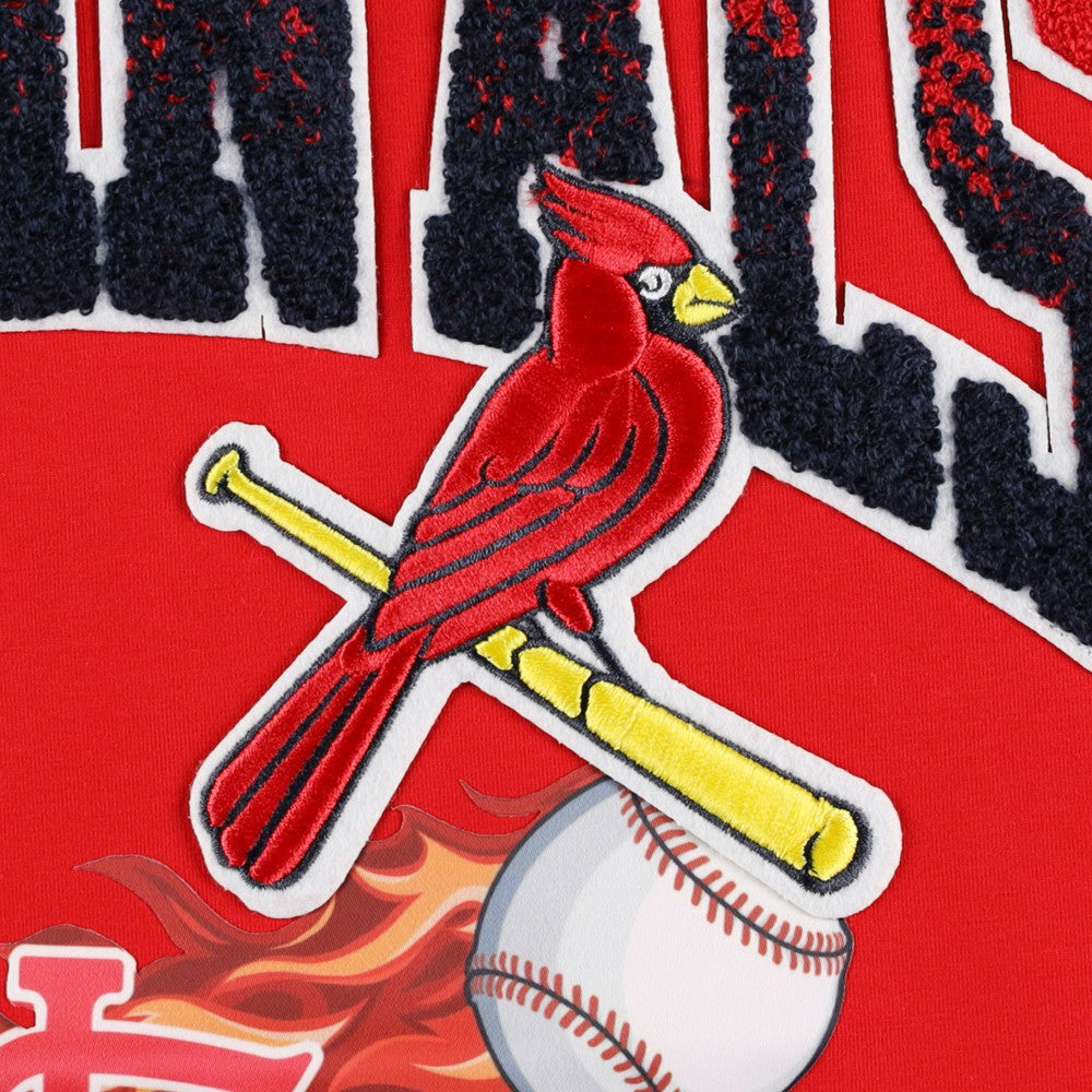 St. Louis Cardinals Pro Standard Hometown T-Shirt - MLB T-shirts