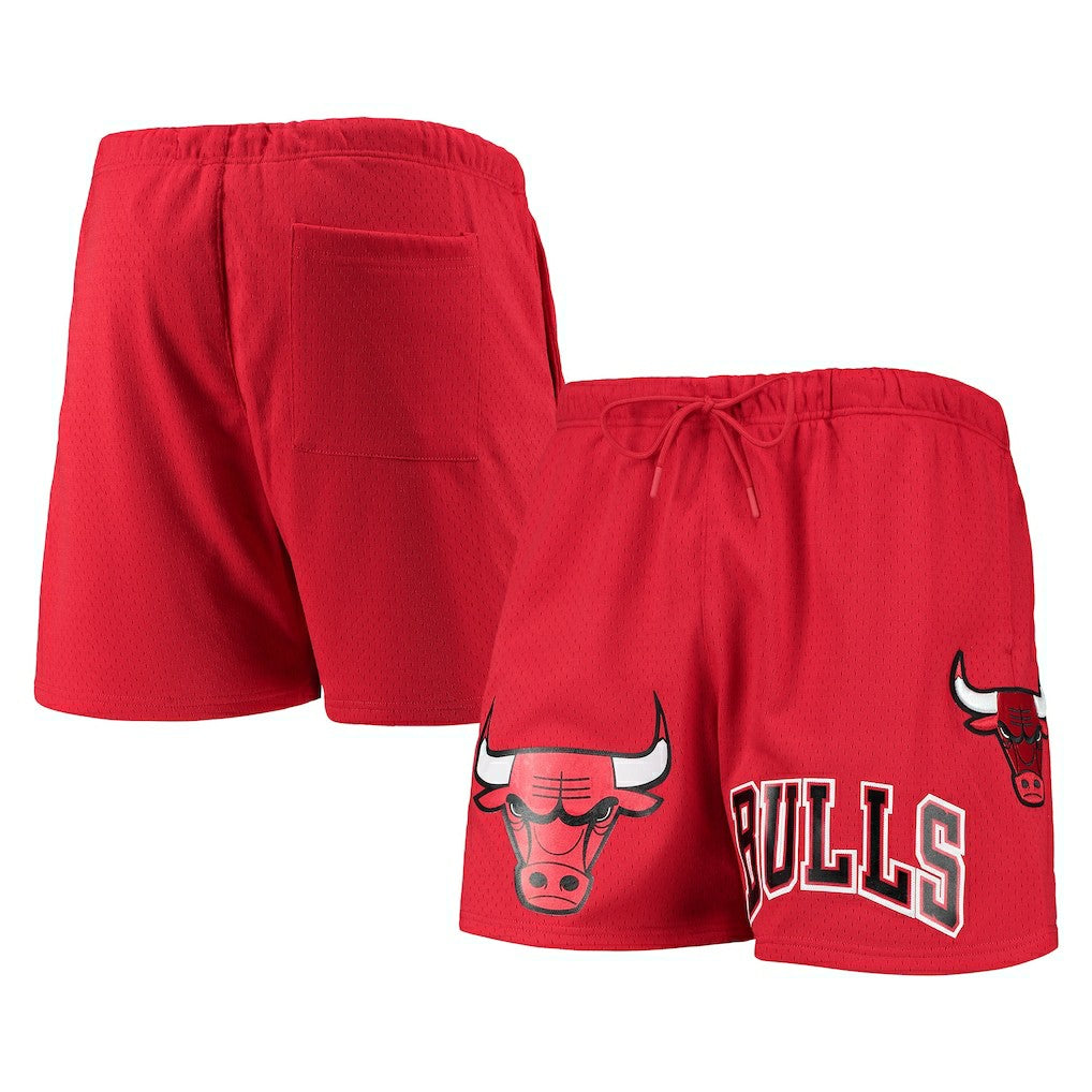 Red Chicago Bulls Pro Standard Mesh Capsule Shorts | NBA