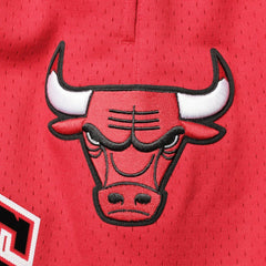 Red Chicago Bulls Pro Standard Mesh Capsule Shorts | NBA