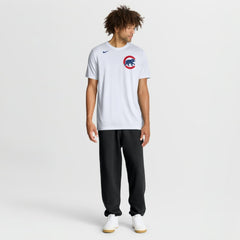 Chicago Cubs Nike New Legend Wordmark Dri-FIT T-Shirt - MLB T-shirts