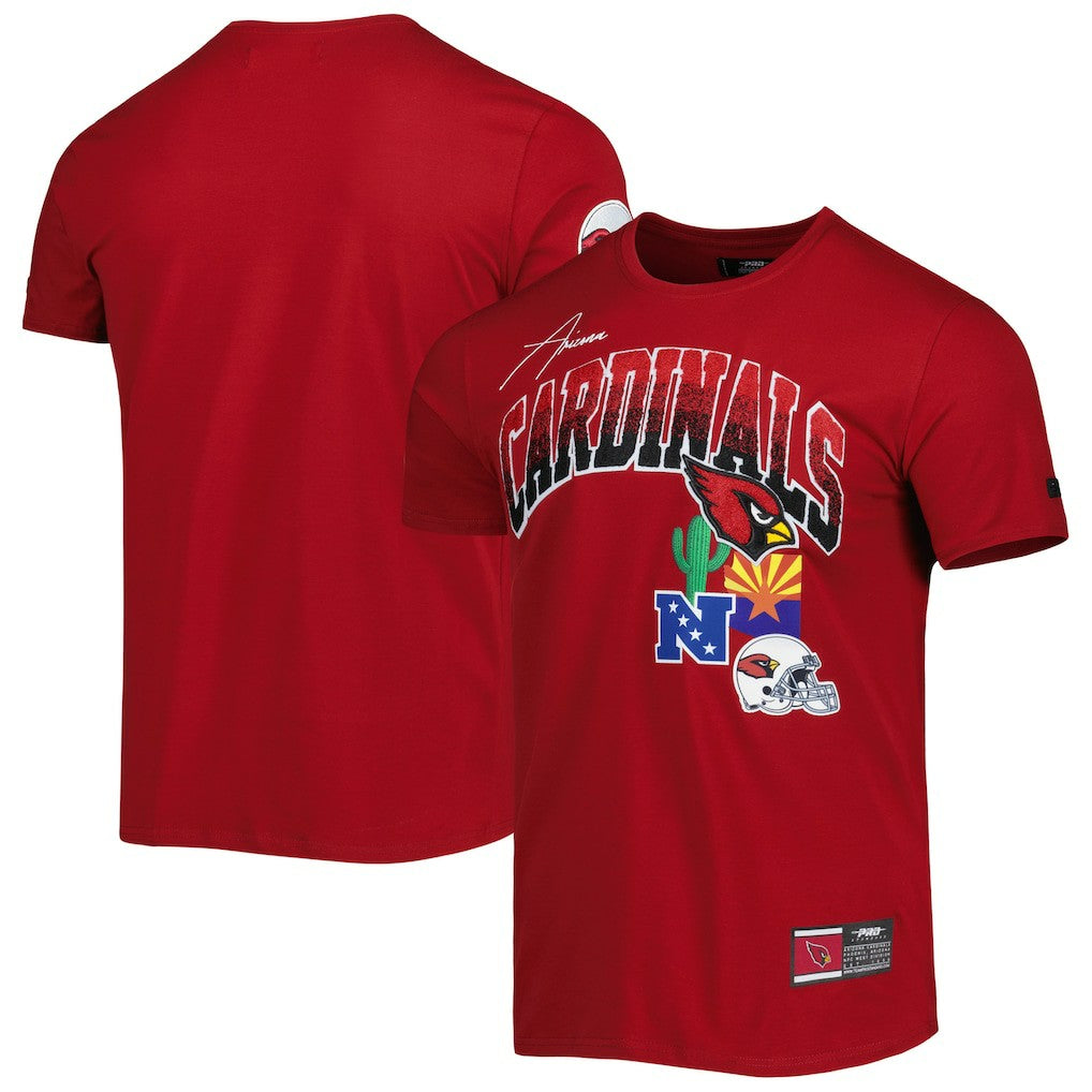 Arizona Cardinals Pro Standard Hometown Collection T-Shirt | NFL Near me