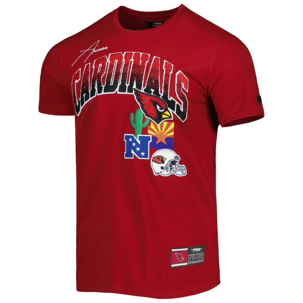 Arizona Cardinals Pro Standard Hometown Collection T-Shirt | NFL Near me