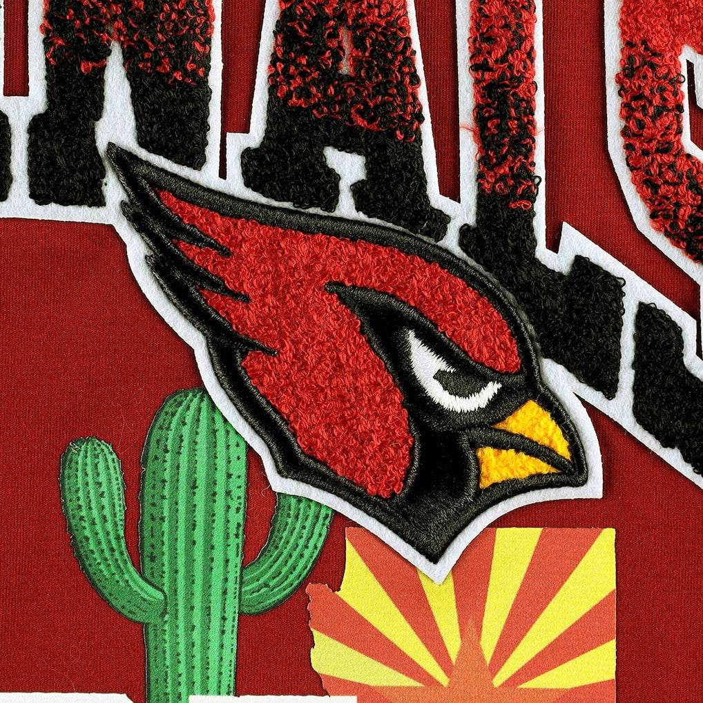Arizona Cardinals Pro Standard Hometown Collection T-Shirt | NFL Near me