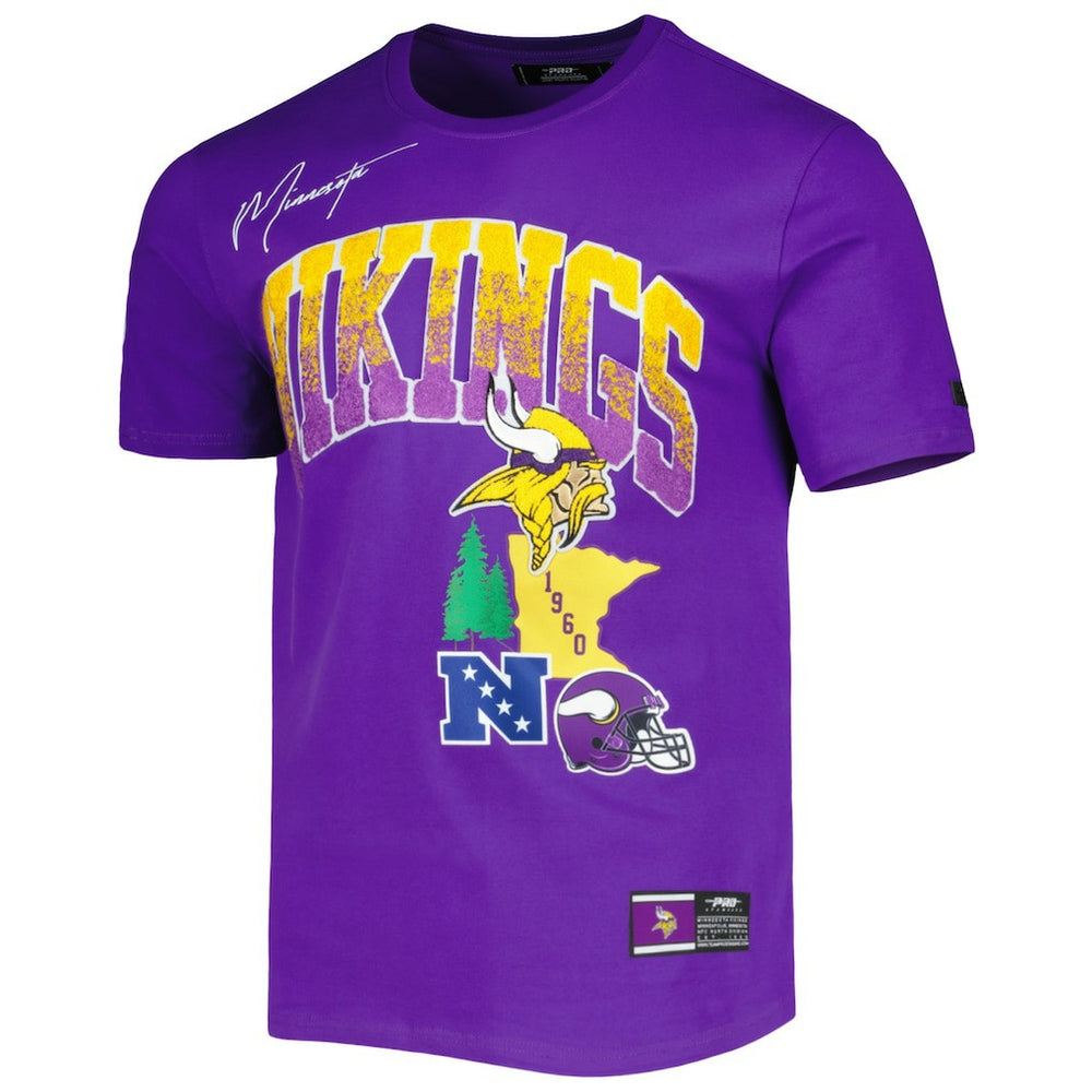 Minnesota Vikings Pro Standard Hometown Collection T-Shirt | NFL New