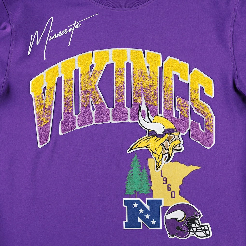 Minnesota Vikings Pro Standard Hometown Collection T-Shirt | NFL New