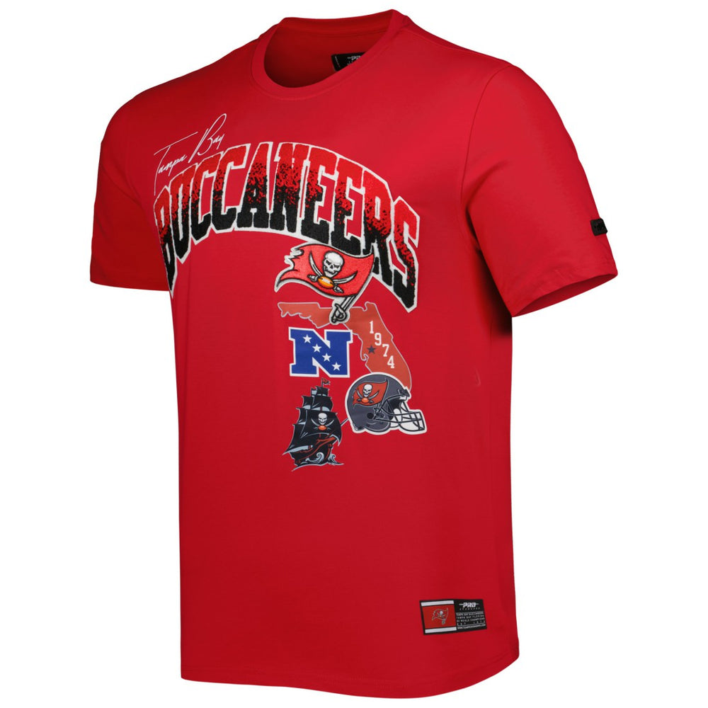 Tampa Bay Buccaneers Pro Standard Hometown Collection T-Shirt | NFL US