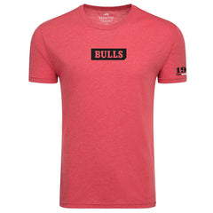 Red Chicago Bulls Sportiqe Unisex 1966 Collection Comfy Tri-Blend T-Shirt sale | NBA