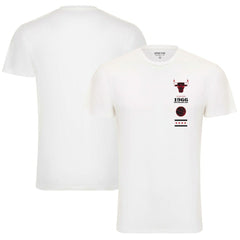 White Chicago Bulls Sportiqe Unisex 1966 Collection City Flag Bingham T-Shirt sale | NBA