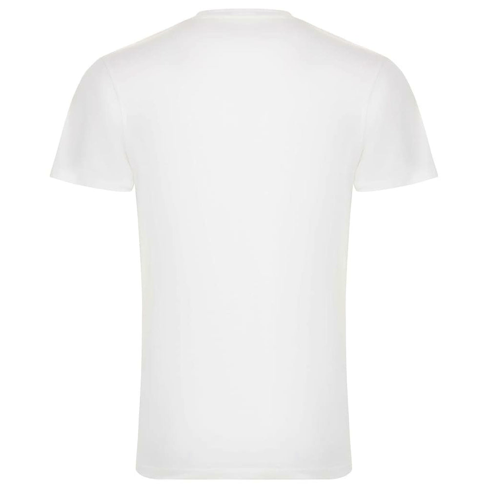 White Chicago Bulls Sportiqe Unisex 1966 Collection City Flag Bingham T-Shirt sale | NBA