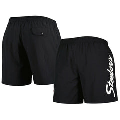 Pittsburgh Steelers Team Essentials Nylon Shorts | NFL Online