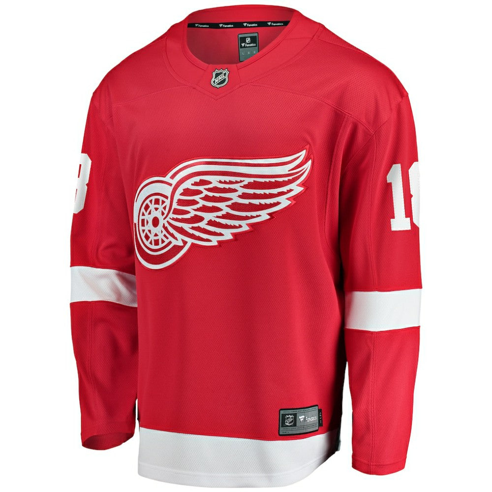 Andrew Copp Detroit Red Wings Fanatics Home Breakaway Player Jersey -  NHL Jerseys