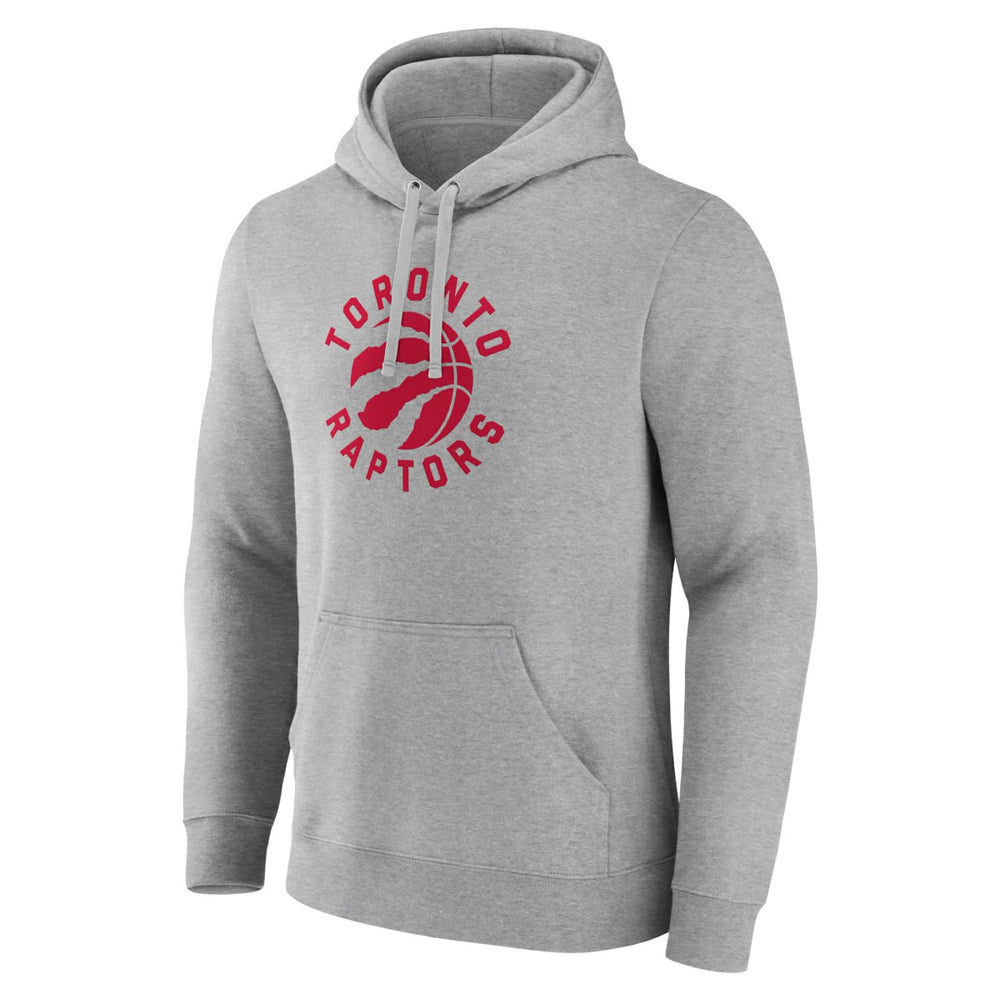 Gray Toronto Raptors Alternate Logo Pullover Hoodie | NBA