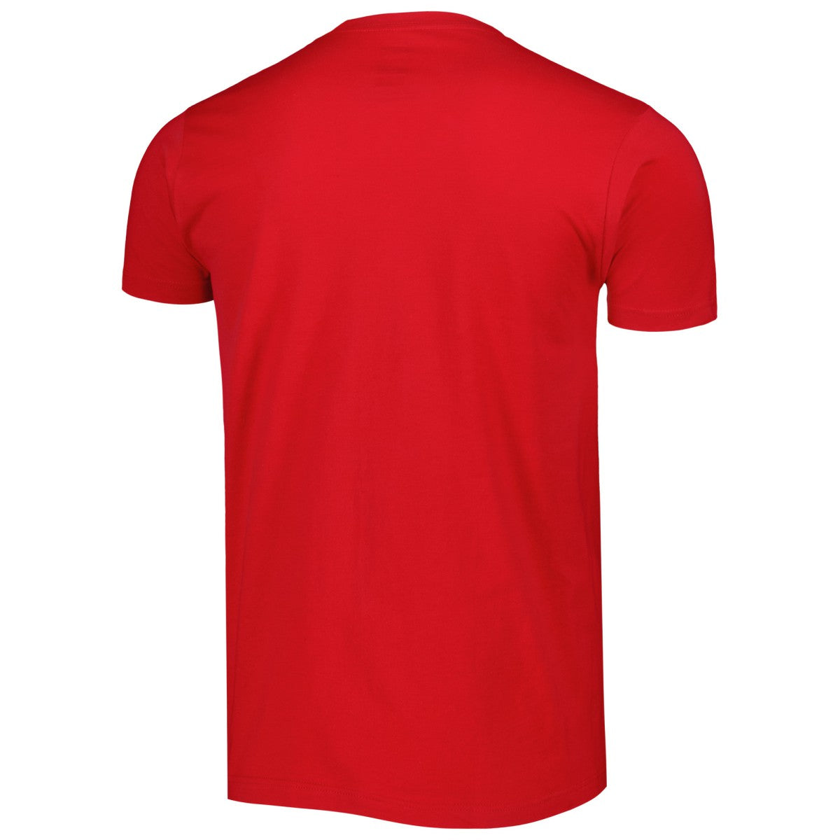 Red Toronto Raptors Stadium Essentials Unisex Element Logo Pop T-Shirt | NBA