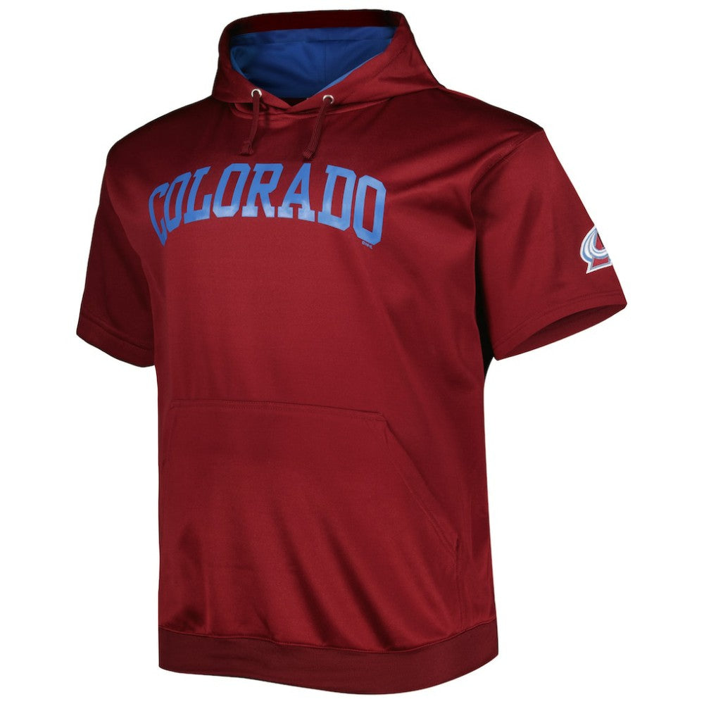 Nathan MacKinnon Colorado Avalanche Fanatics Big & Tall Name & Number Pullover Hoodie -  NHL Hoodies