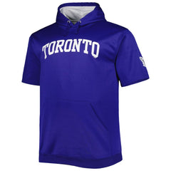 Auston Matthews Toronto Maple Leafs Fanatics Big & Tall Name & Number Pullover Hoodie -  NHL Hoodies