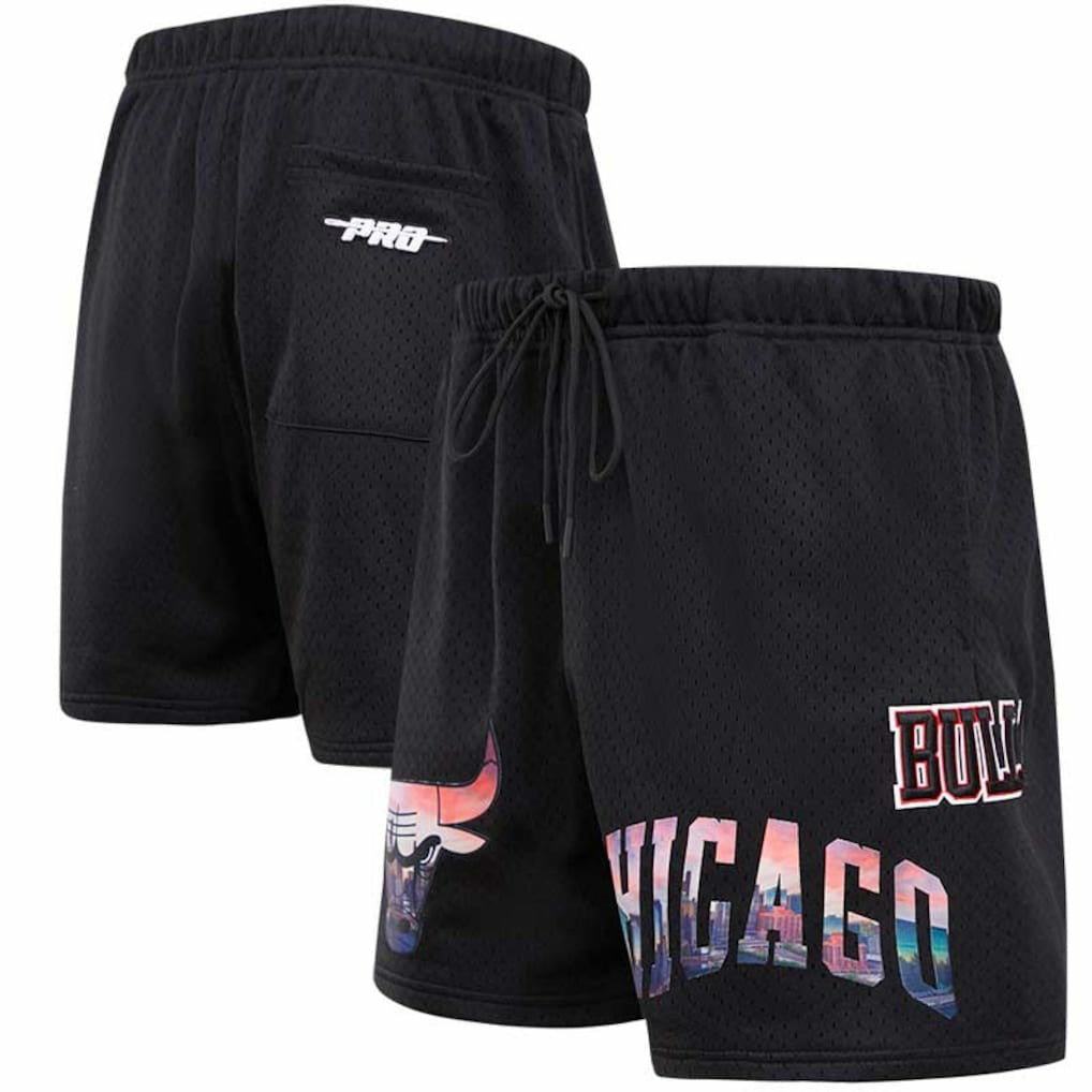 Black Chicago Bulls Pro Standard City Scape Mesh Shorts | NBA
