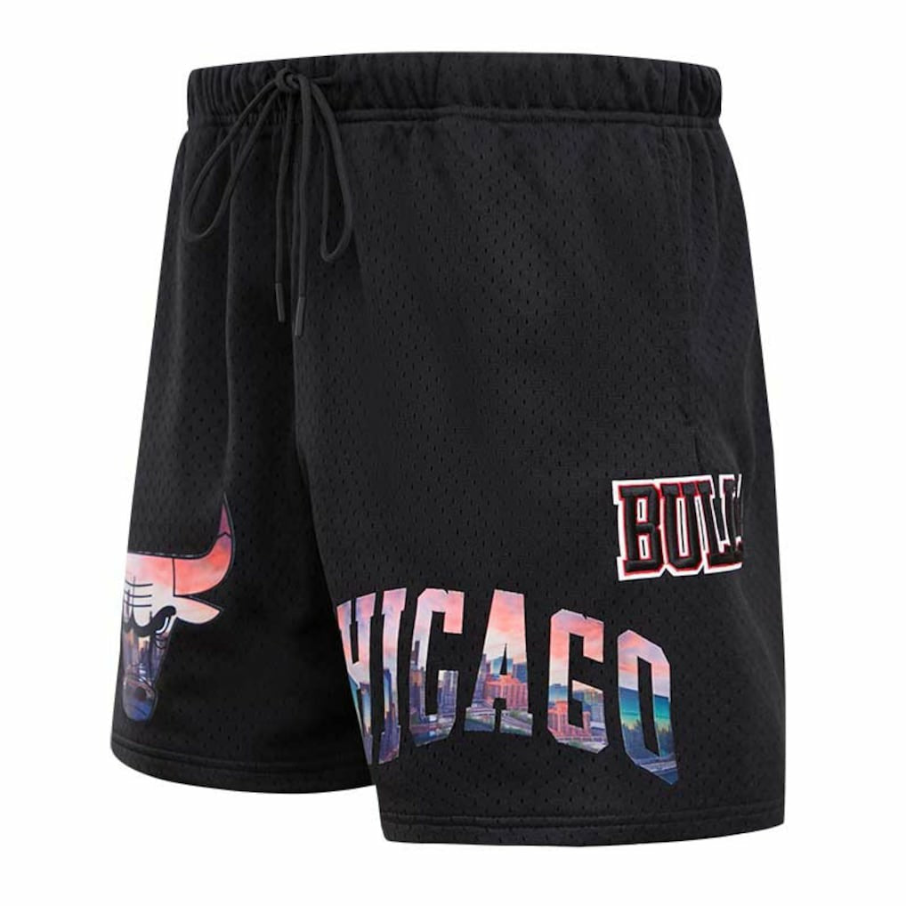 Black Chicago Bulls Pro Standard City Scape Mesh Shorts | NBA
