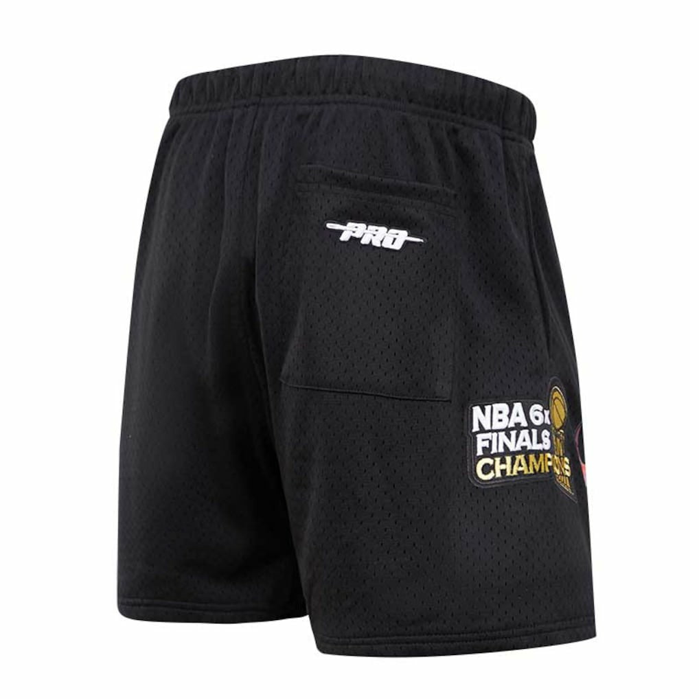 Black Chicago Bulls Pro Standard City Scape Mesh Shorts | NBA
