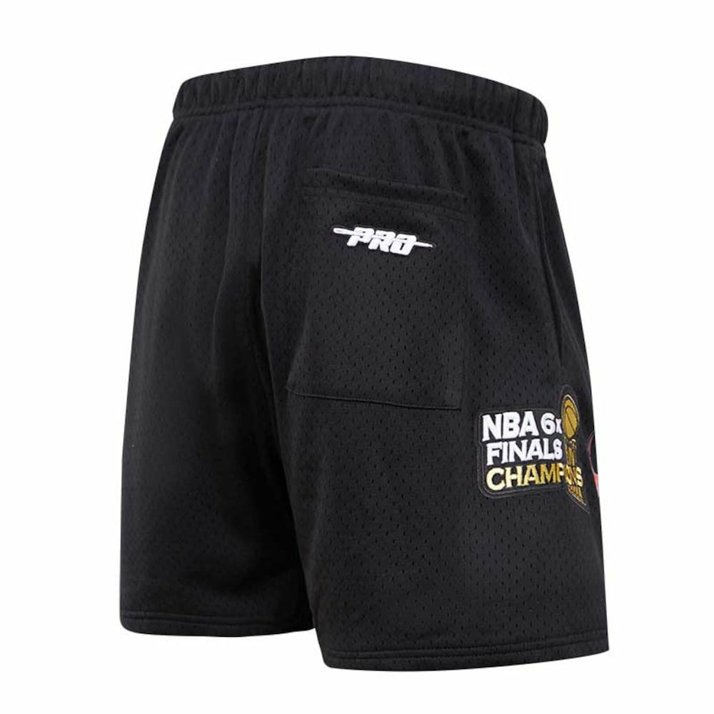 Black Chicago Bulls Pro Standard City Scape Mesh Shorts | NBA