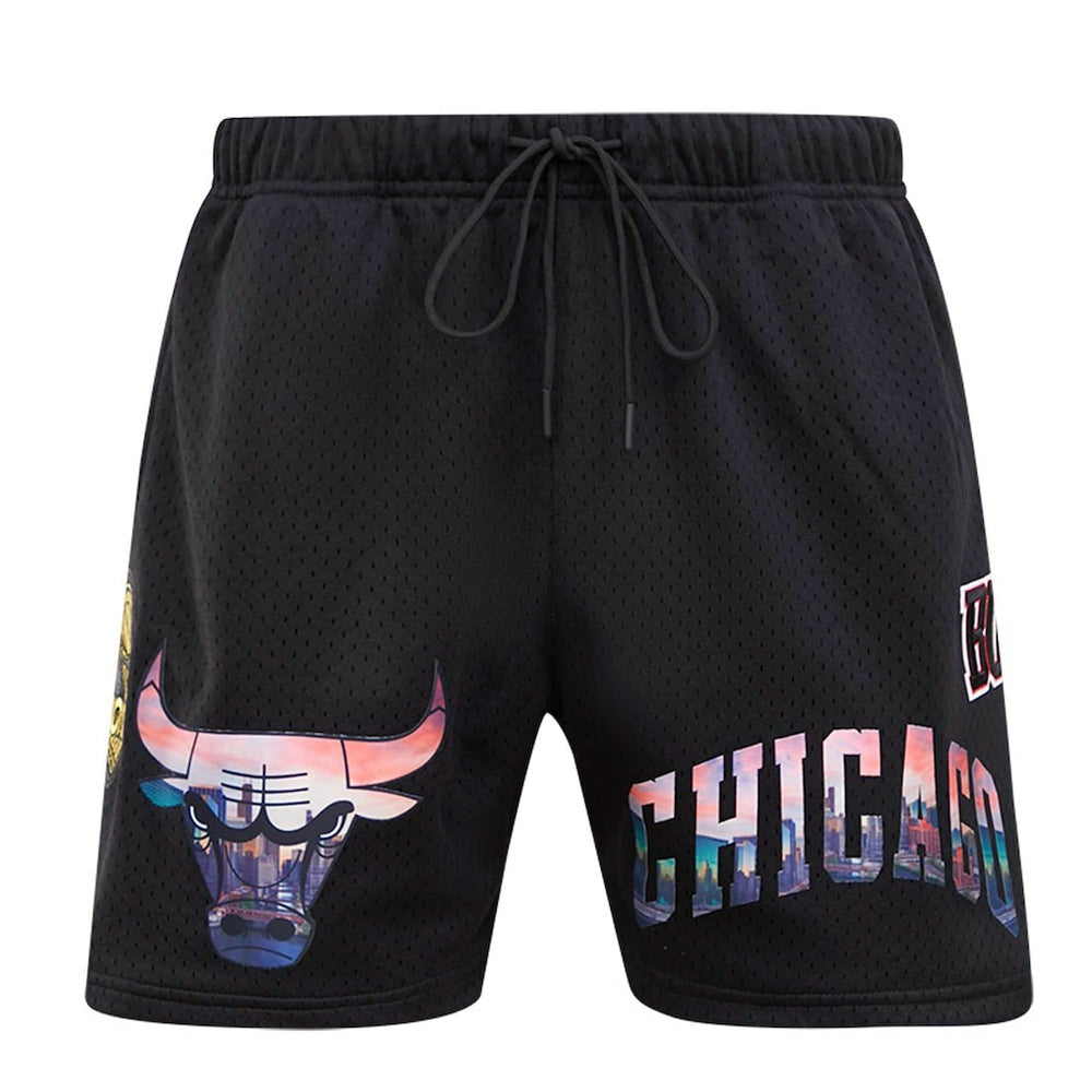 Black Chicago Bulls Pro Standard City Scape Mesh Shorts | NBA