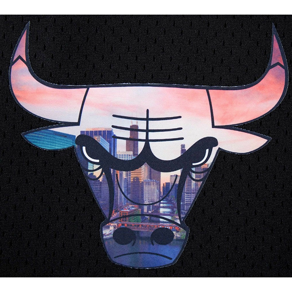 Black Chicago Bulls Pro Standard City Scape Mesh Shorts | NBA