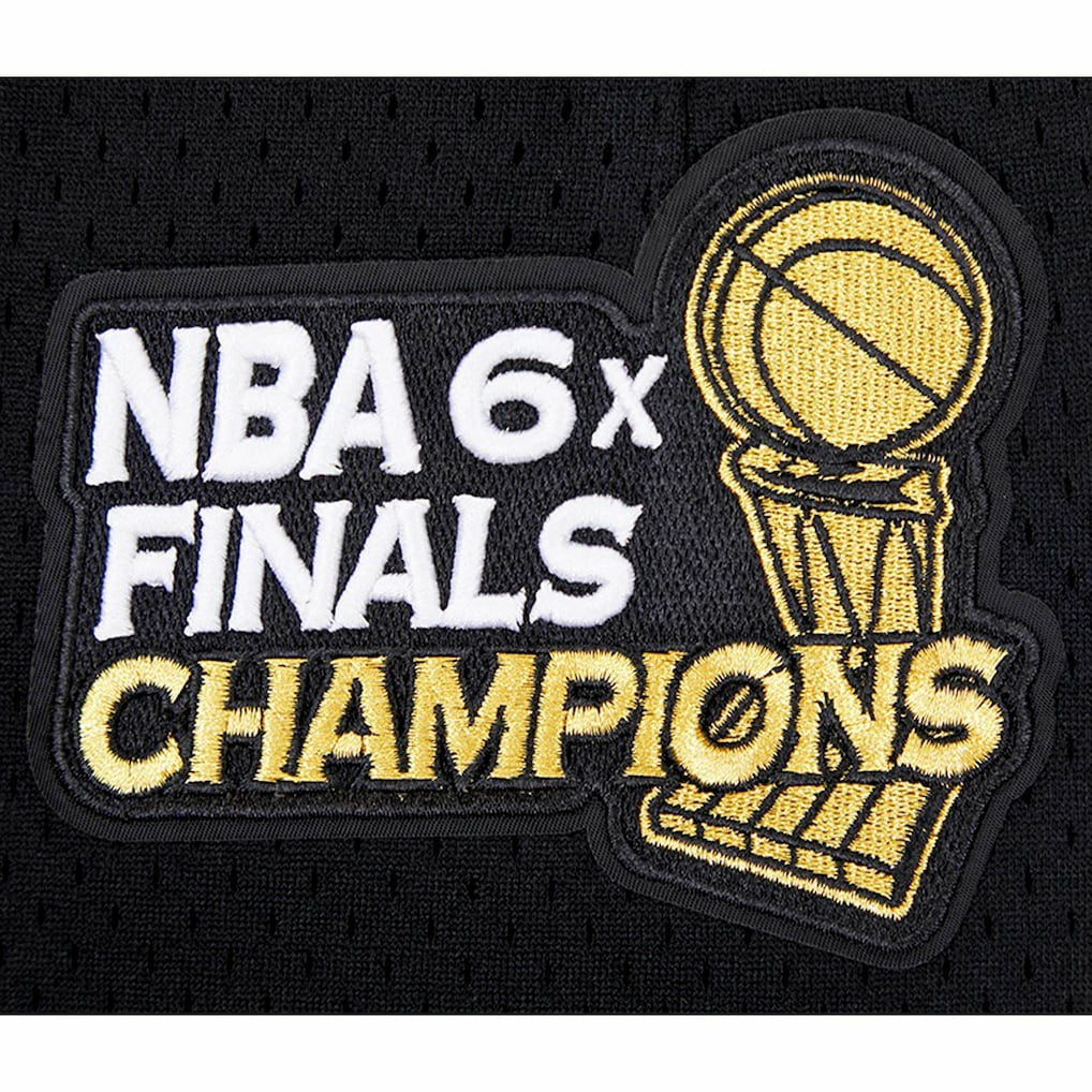 Black Chicago Bulls Pro Standard City Scape Mesh Shorts | NBA