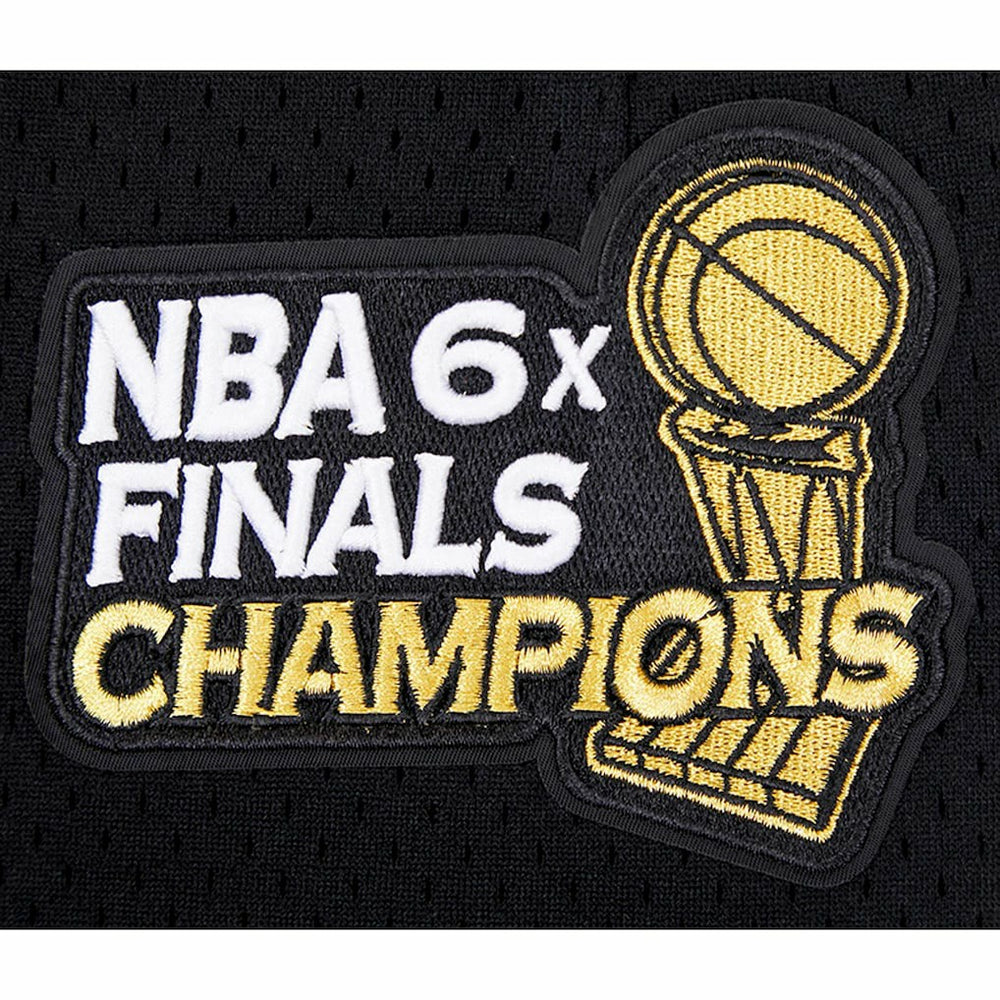 Black Chicago Bulls Pro Standard City Scape Mesh Shorts | NBA